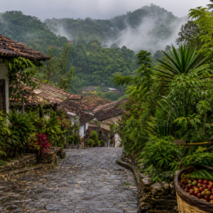 Calle empedrada de Cuetzalan entre vegetación, café y niebla de la Sierra Norte de Puebla