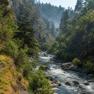 Cañon del Rio Magdalena en Los Dinamos, CDMX