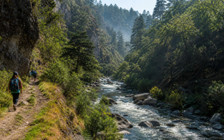 Cañon del Rio Magdalena en Los Dinamos, CDMX