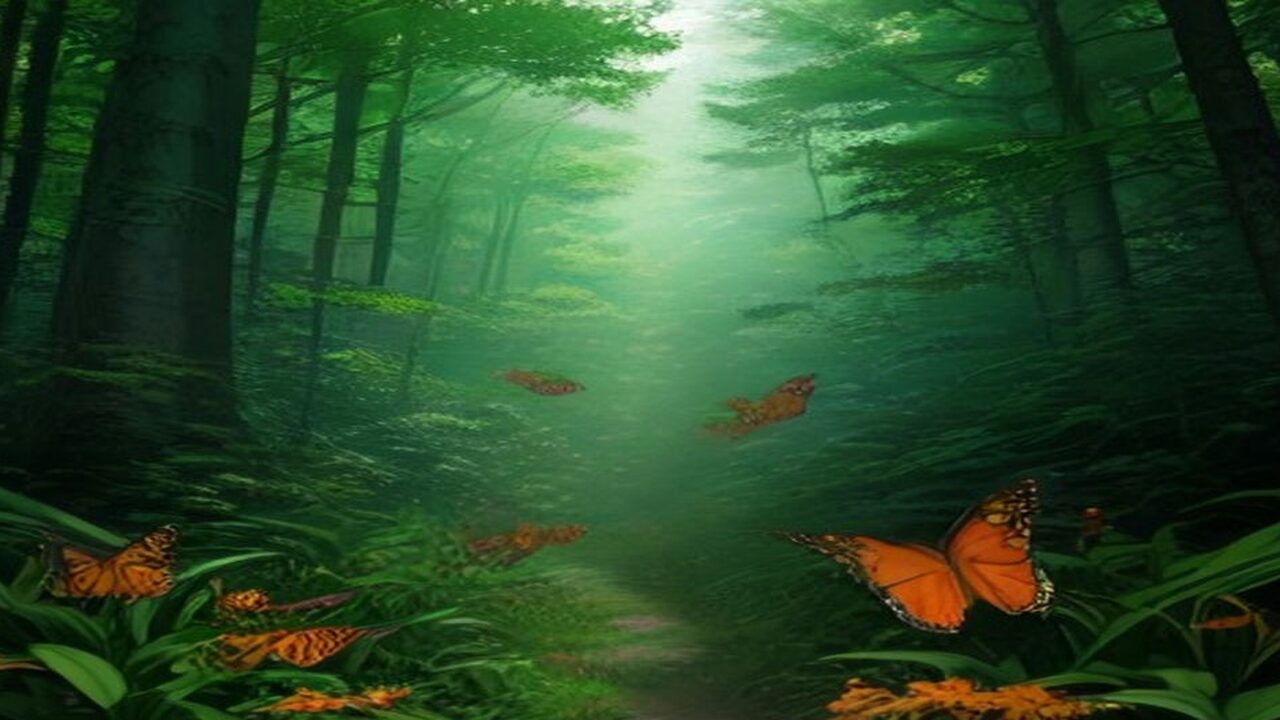 Ilustración de un bosque de coníferas envuelto en neblina verde, con un sendero que se pierde al fondo y varias mariposas monarca de alas naranjas con bordes negros volando entre helechos y plantas del sotobosque