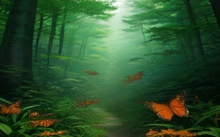 Ilustración de un bosque de coníferas envuelto en neblina verde, con un sendero que se pierde al fondo y varias mariposas monarca de alas naranjas con bordes negros volando entre helechos y plantas del sotobosque
